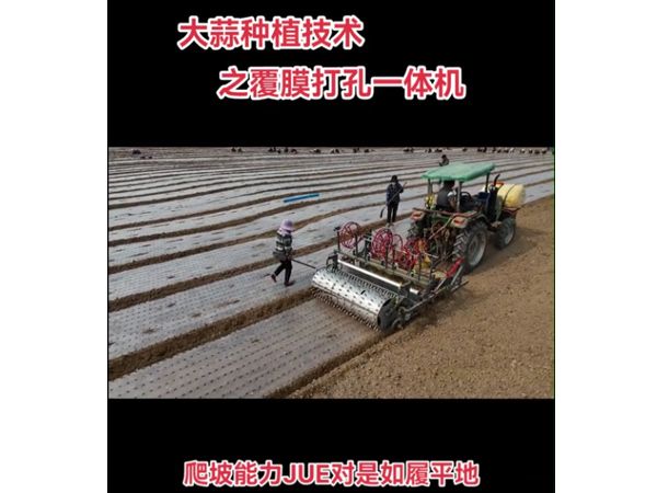 大蒜洋蔥覆膜打孔一體機視頻