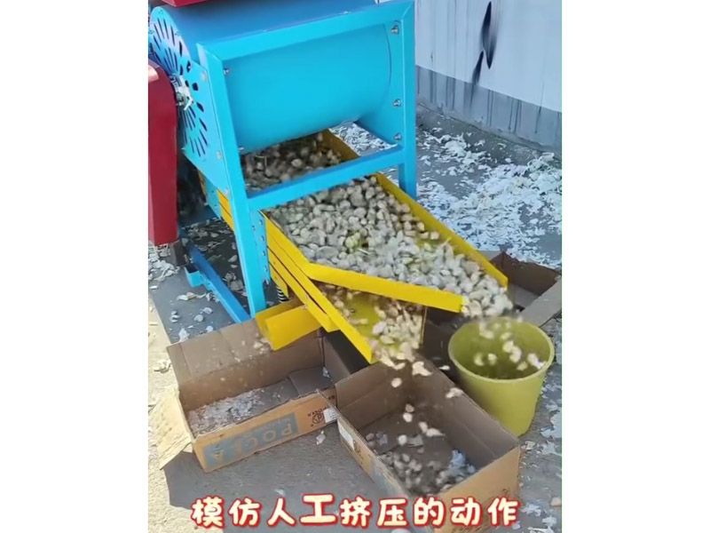 大蒜分瓣分選機(jī)視頻