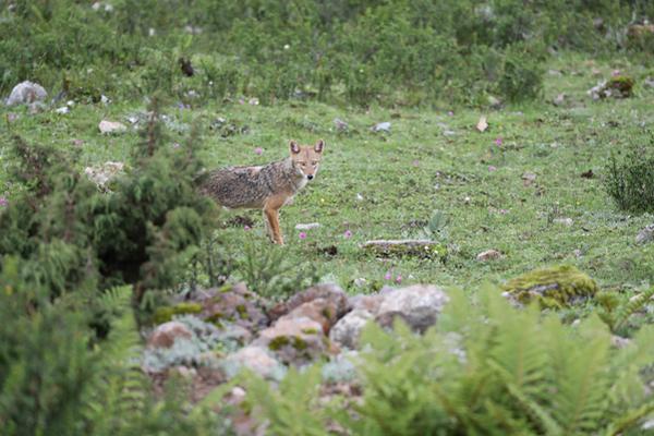 《時序殘響24/36》序夜測驗5月19日正式敞開!